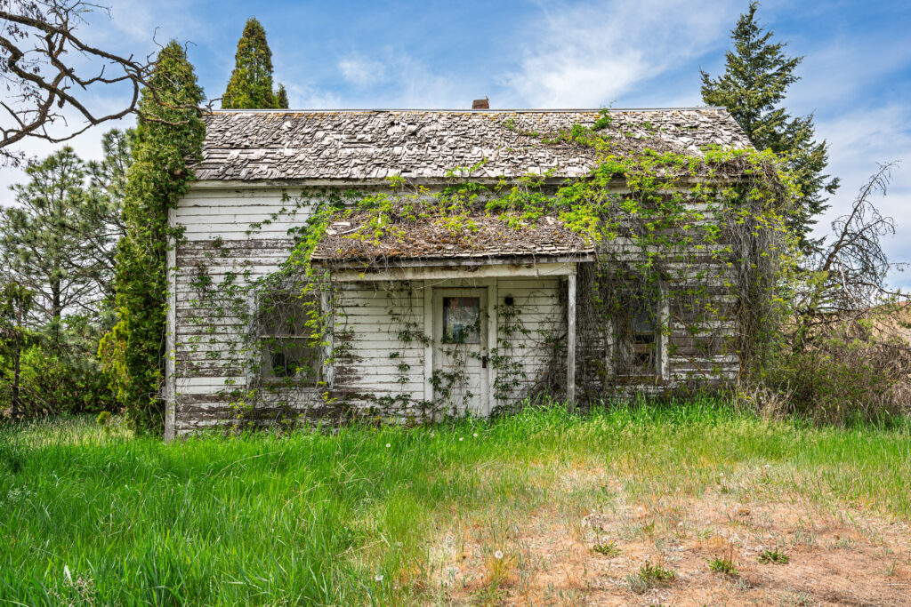 An older home with overgrown vegetation