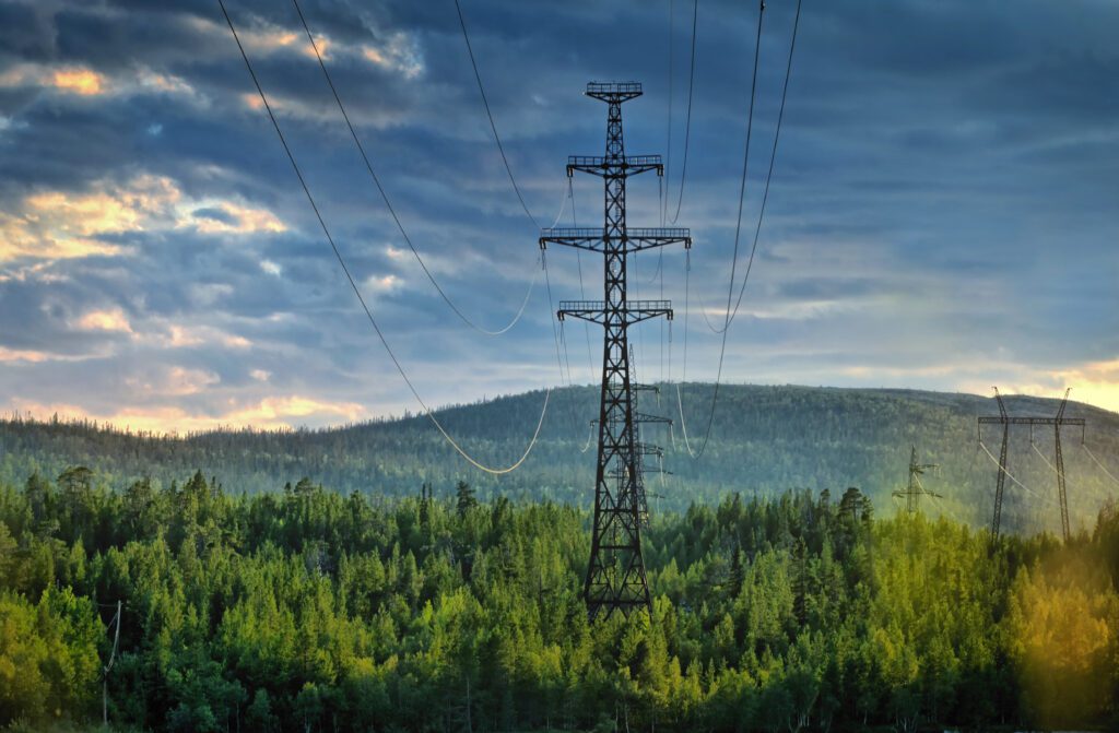 Powerlines in the middle of fields of trees
